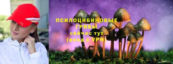 стафф Богородицк